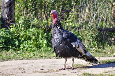 Similar image 306634