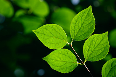 Similar image 306759