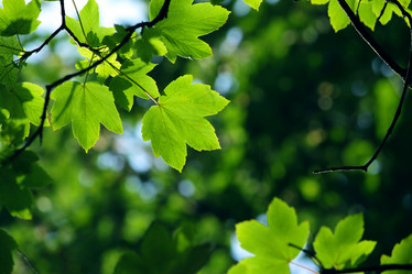 Similar image 306764