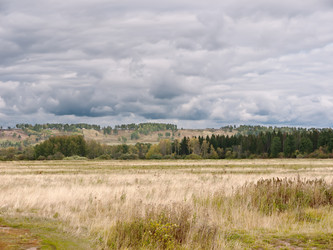 Similar image 306770