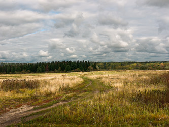 Similar image 306773