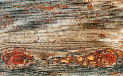 Similar image 306776