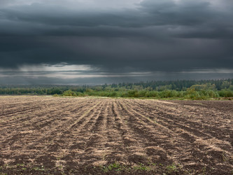 Similar image 306779