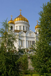 Similar image 306826