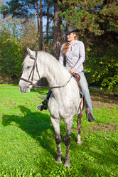 Similar image 306830