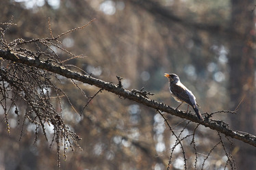 Similar image 306838