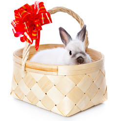 Similar image 306864