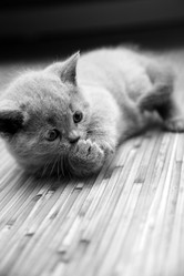 Similar image 306892