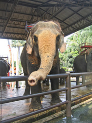 Similar image 306894