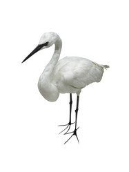 Similar image 306924