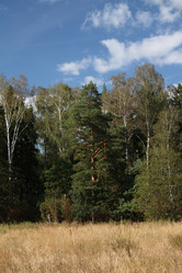 Similar image 306953