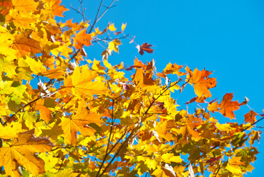 Similar image 306977