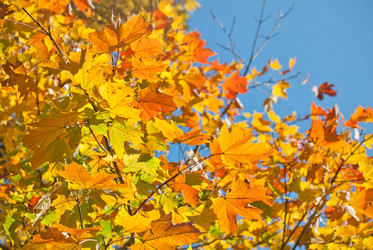 Similar image 306979