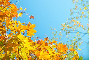 Similar image 306981