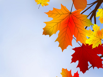 Similar image 306982