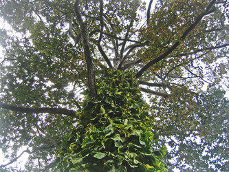 Similar image 307028