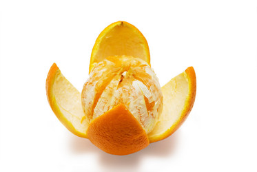 Similar image 307086