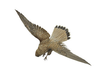 Similar image 307120