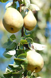 Similar image 307130