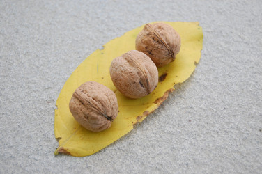 Similar image 307132