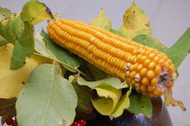 Similar image 307133