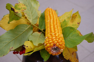 Similar image 307152