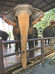 Similar image 307153