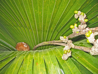 Similar image 307162