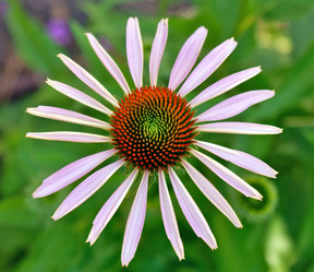 Similar image 307196