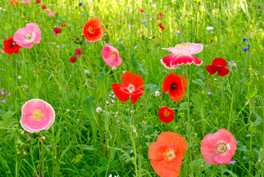 Similar image 307202