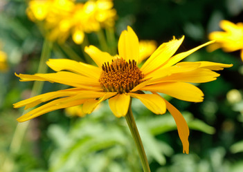 Similar image 307206