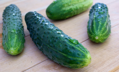 Similar image 307328