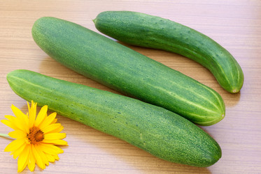 Similar image 307340