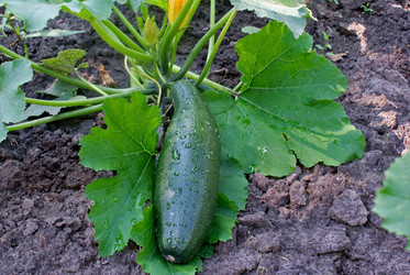 Similar image 307350