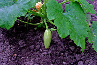 Similar image 307352