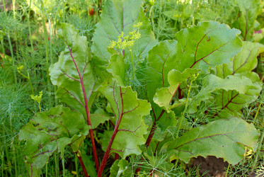 Similar image 307358