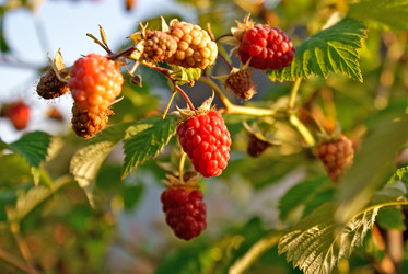 Similar image 307383