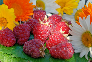 Similar image 307388