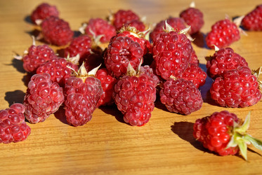 Similar image 307390