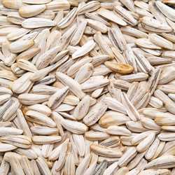 Similar image 307395