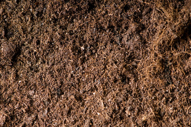 Similar image 307419