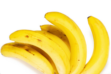 Similar image 307431