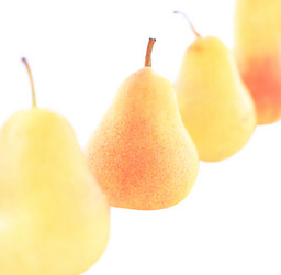 Similar image 307434