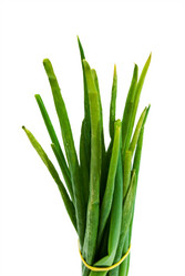 Similar image 307445