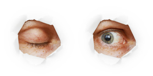 Similar image 307448