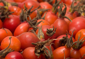 Similar image 307449