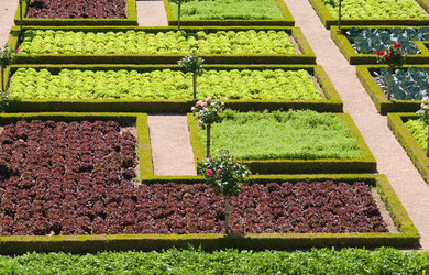 Similar image 307450