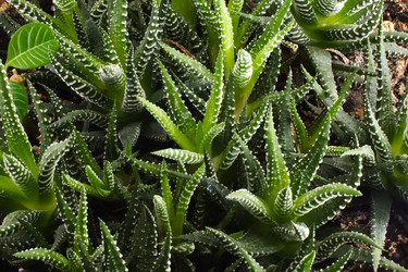 Similar image 307463