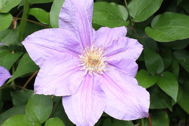 Similar image 307466