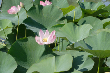 Similar image 307467